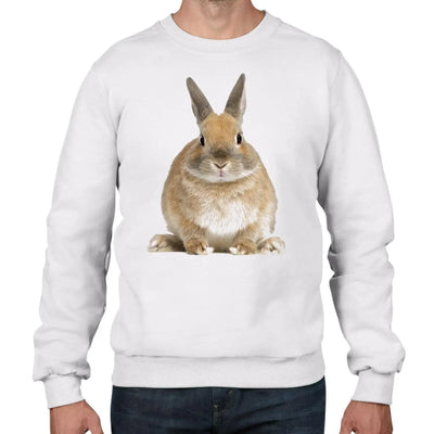 Bunny Rabbit Men's Sweatshirt Jumper XL