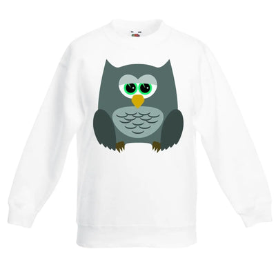 Cartoon Owl Bird Animals Children's Toddler Kids Sweatshirt Jumper 12-13 / White