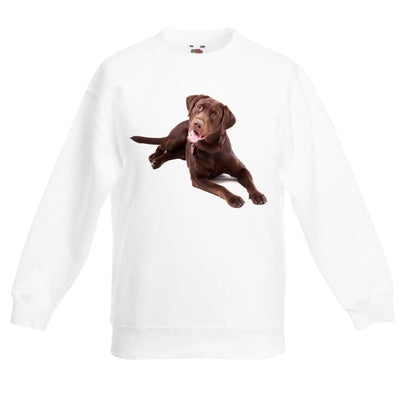 Chocolate Labrador Dog Children's Unisex Sweatshirt Jumper 14-15