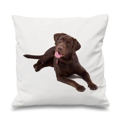 Chocolate Labrador Scatter Cushion