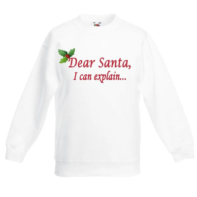 Dear Santa, I Can Explain... Christmas Funny Childrens Kids Sweatshirt Jumper 3-4