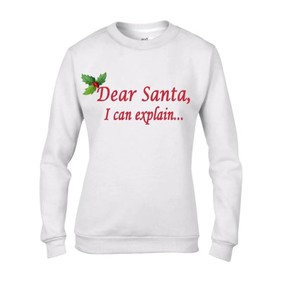 Dear Santa, I Can Explain... Christmas Funny Women's Sweatshirt Jumper M