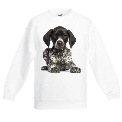 German Short Haired Pointer Dogs Animals Children's Toddler Kids Sweatshirt Jumper 12-13 / White