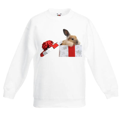 Rabbits In A Box Christmas Kids Jumper \ Sweater 14-15