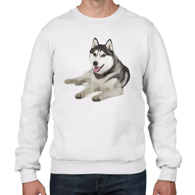 Siberian Huskie Dogs Animals Men's Sweatshirt Jumper S / White