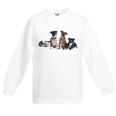 Staffordshire Bull Terrier Dogs Animals Children's Toddler Kids Sweatshirt Jumper 12-13 / White