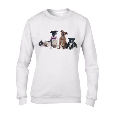 Staffordshire Bull Terrier Dogs Animals Women's Sweatshirt Jumper M / White