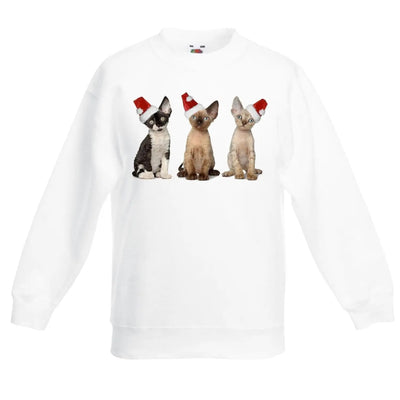 Three Kittens with Santa Claus Hats Christmas Kids Jumper \ Sweater 12-13