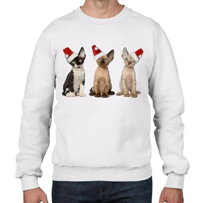 Three Kittens with Santa Claus Hats Christmas Men's Jumper \ Sweater M