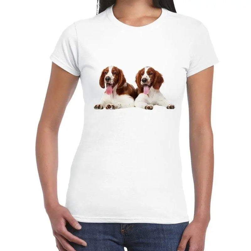 Welsh Springer Spaniel Puppies Women&