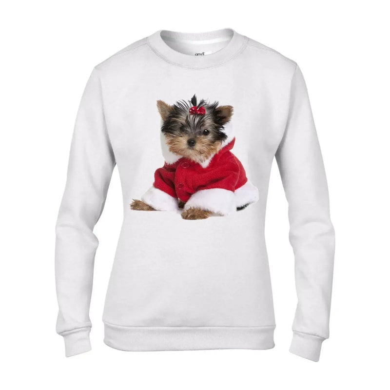 Yorkshire Terrier Puppy Santa Claus Father Christmas Women&