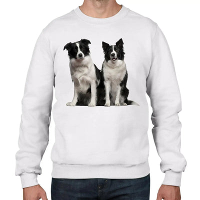 Border Collies Dogs Animals Men's Sweatshirt Jumper XL / White