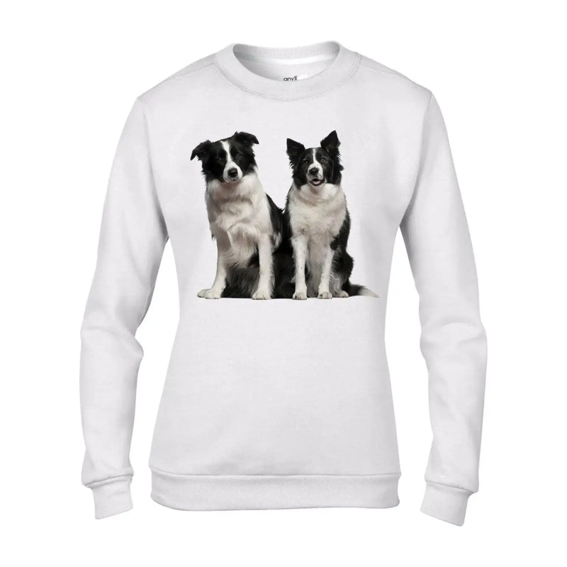 Border Collies Dogs Animals Women&