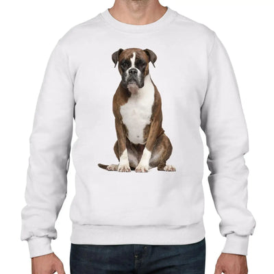 Boxer Dog Men's Sweatshirt Jumper M