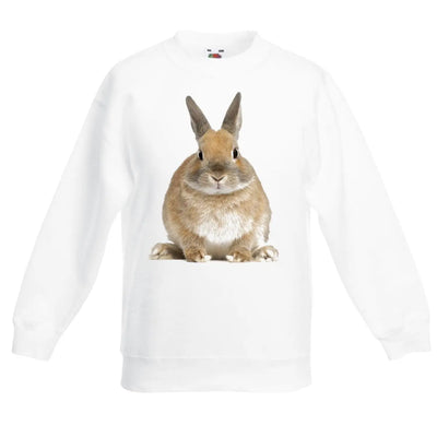 Bunny Rabbit Children's Unisex Sweatshirt Jumper 3-4