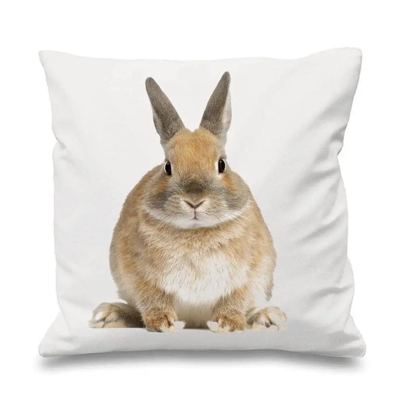 Bunny Rabbit Scatter Cushion