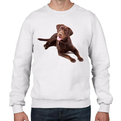 Chocolate Labrador Dog Men's Sweatshirt Jumper XXL