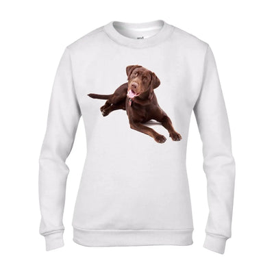 Chocolate Labrador Dog Women's Sweatshirt Jumper XXL