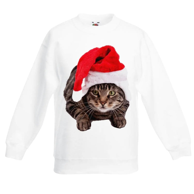 Christmas Cat In Santa Claus Hat Kids Jumper \ Sweater 9-11