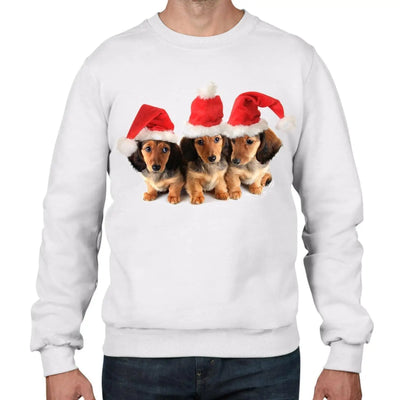 Christmas Dachshund Puppies with Santa Hats Mens Sweatshirt Jumper M