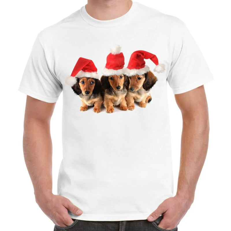 Christmas Dachshund Puppies with Santa Hats Men&