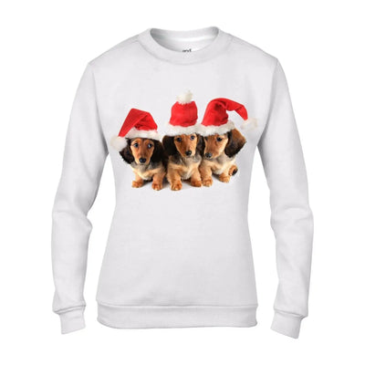 Christmas Dachshund Puppies with Santa Hats Womens Sweatshirt Jumper S