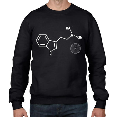 DMT Chemical Formula Hipster Men's Sweatshirt Jumper M / Black