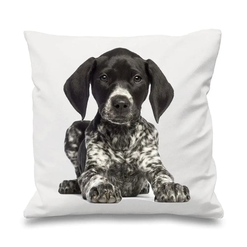 German Short Haired Pointer Cushion