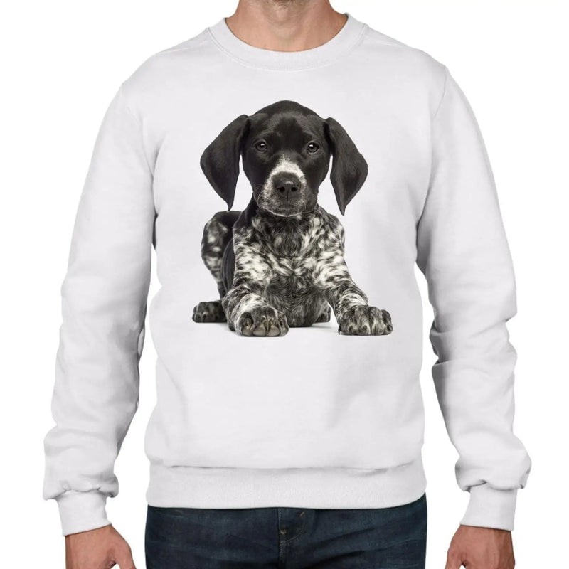 German Short Haired Pointer Dogs Animals Men&