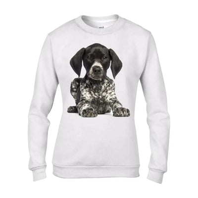 German Short Haired Pointer Dogs Animals Women's Sweatshirt Jumper S / White