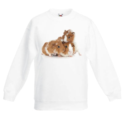 Guinea Pig Family Children's Unisex Sweatshirt Jumper 3-4