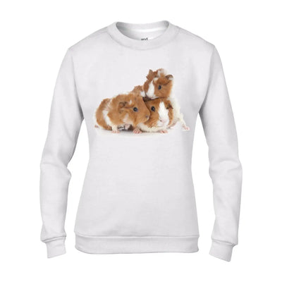 Guinea Pig Family Women's Sweatshirt Jumper XXL