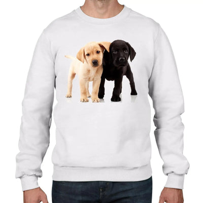 Labrador Puppies Men's Sweatshirt Jumper XL