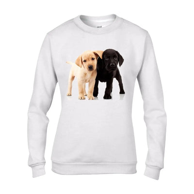 Labrador Puppies Women's Sweatshirt Jumper XL