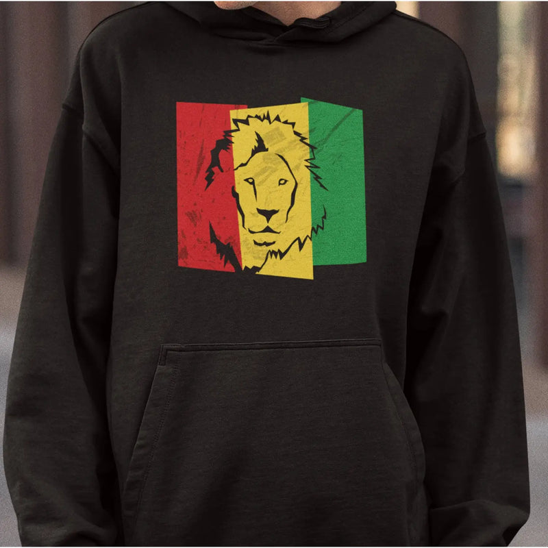 Lion Of Judah Flag Hoodie - Hoodie