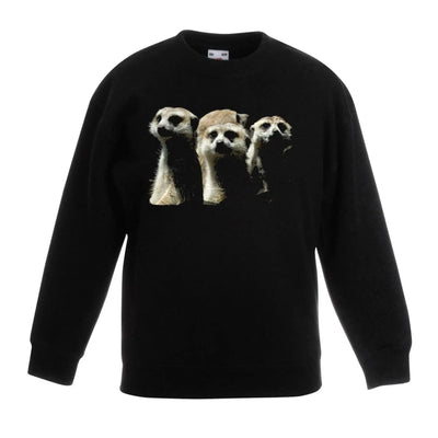 Meerkats Animal Children's Unisex Sweatshirt Jumper 12-13