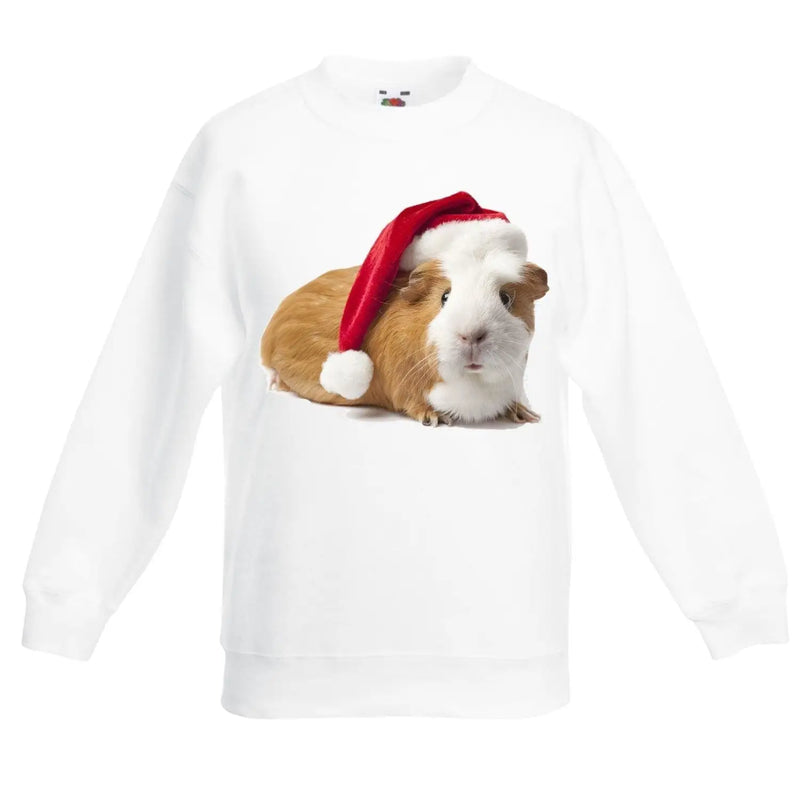 Pet Guinea Pig With Santa Claus Hat Christmas Kids Jumper \ Sweater 14-15