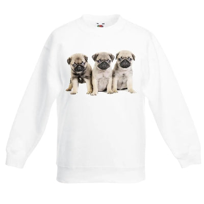 Pug Puppies Dog Children's Unisex Sweatshirt Jumper 7-8