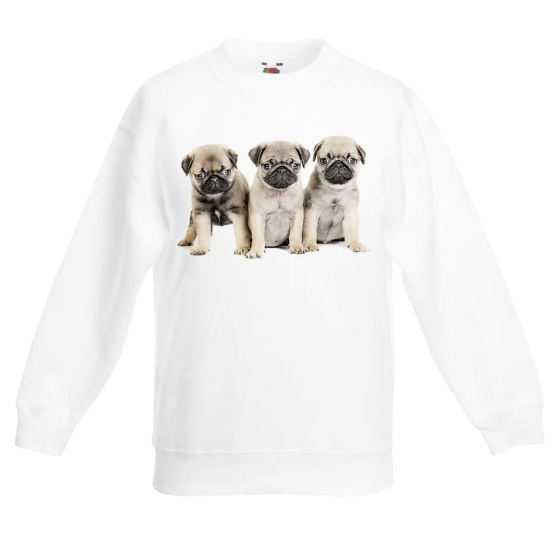Pug Puppies Dog Children&