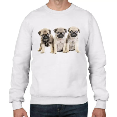 Pug Puppies Dog Men's Sweatshirt Jumper XXL