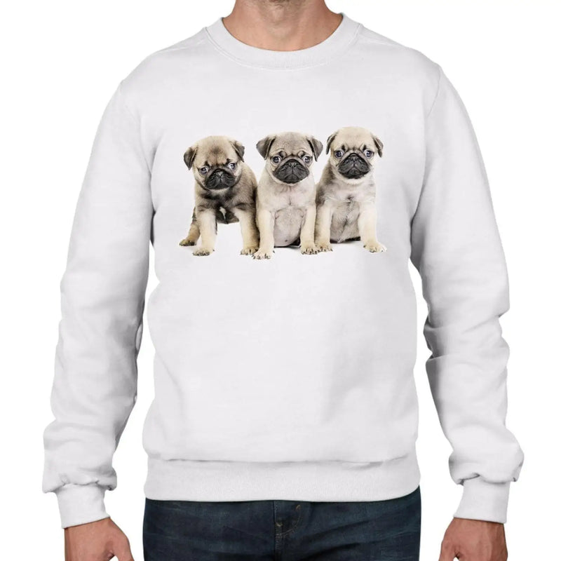 Pug Puppies Dog Men&