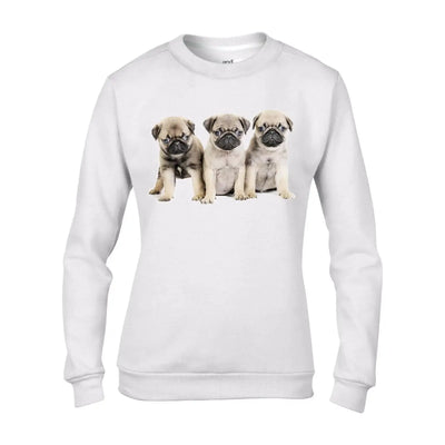 Pug Puppies Dog Women's Sweatshirt Jumper XXL