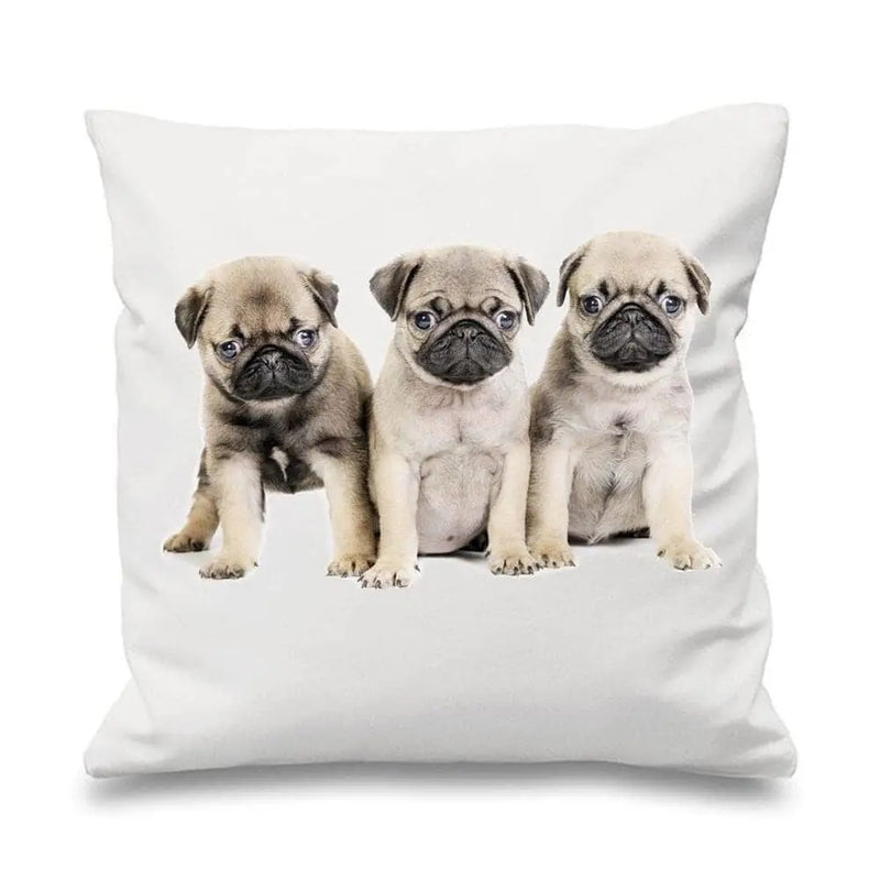 Pug Puppies Scatter Cushion