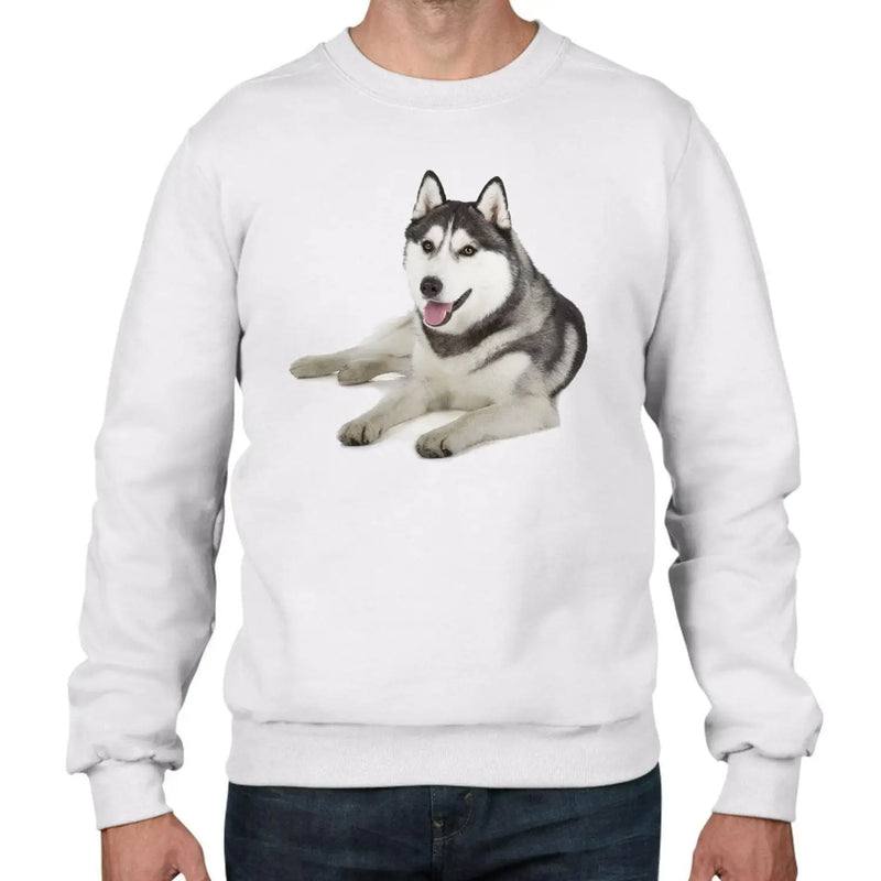 Siberian Huskie Dogs Animals Men&