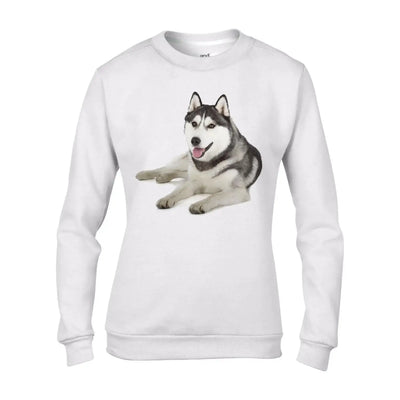 Siberian Huskie Dogs Animals Women's Sweatshirt Jumper L / White