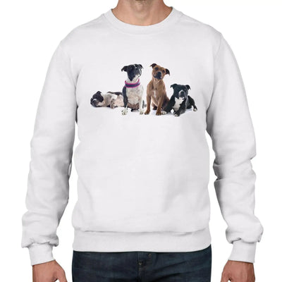 Staffordshire Bull Terrier Dogs Animals Men's Sweatshirt Jumper S / White