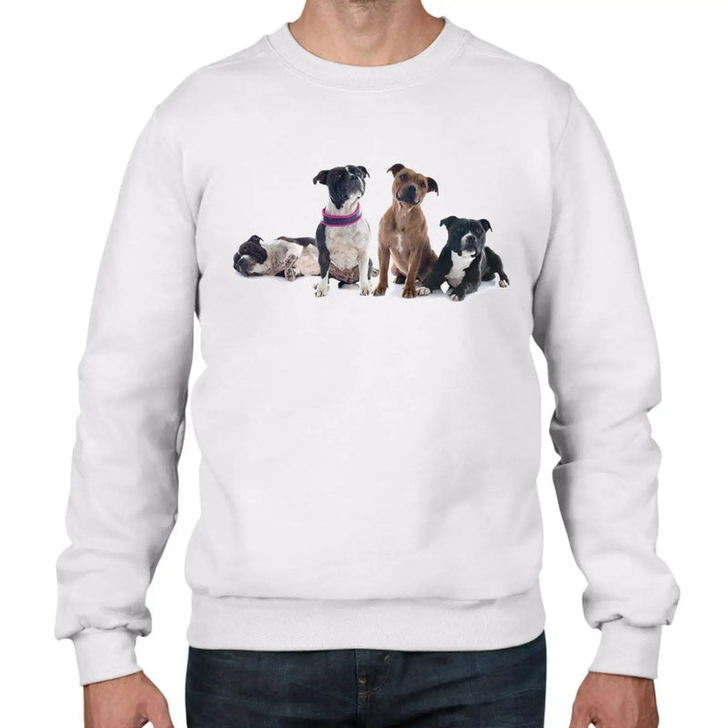 Staffordshire Bull Terrier Dogs Animals Men&
