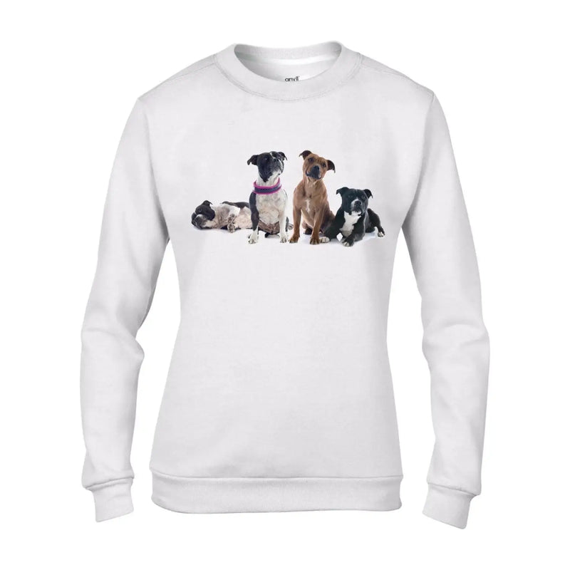 Staffordshire Bull Terrier Dogs Animals Women&