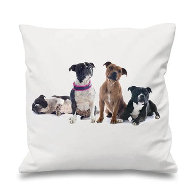 Staffordshire Bull Terriers Cushion