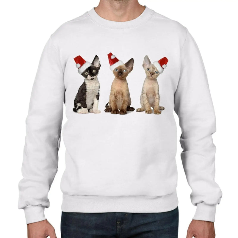 Three Kittens with Santa Claus Hats Christmas Men&